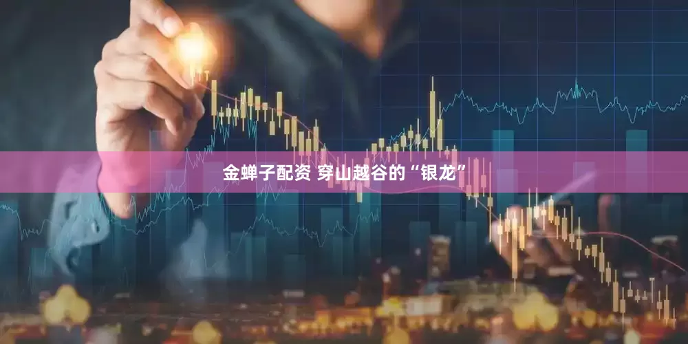 金蝉子配资 穿山越谷的“银龙”