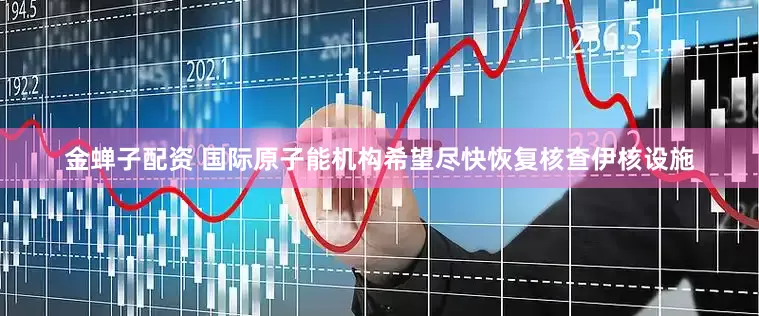 金蝉子配资 国际原子能机构希望尽快恢复核查伊核设施