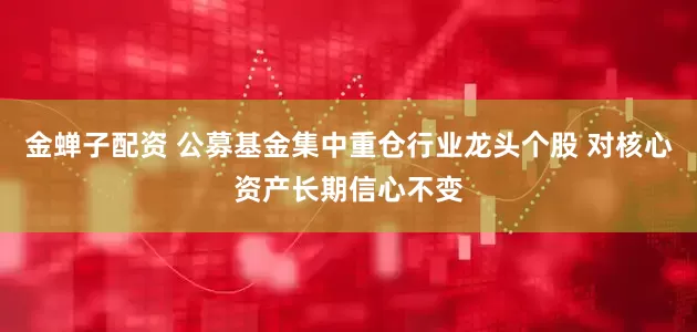 金蝉子配资 公募基金集中重仓行业龙头个股 对核心资产长期信心不变