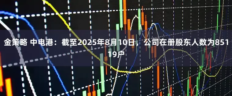 金策略 中电港：截至2025年8月10日，公司在册股东人数为85119户